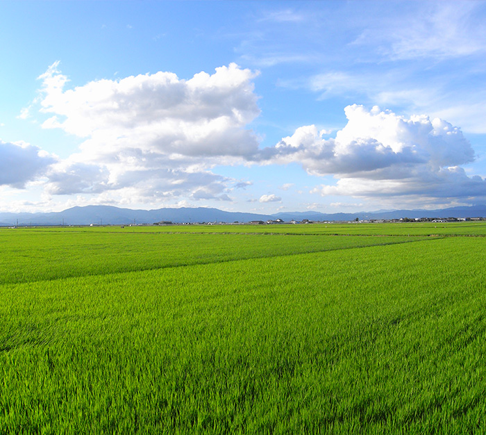 「期待以上」を実現するのが本当の仕事