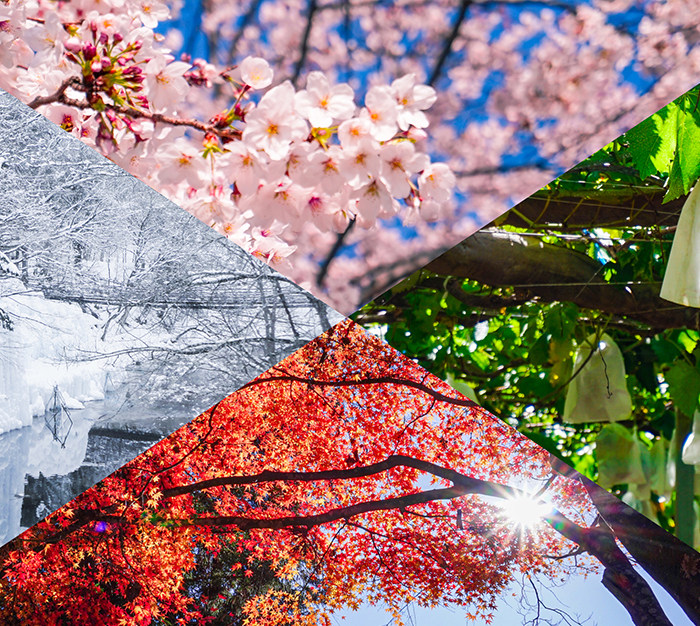 四季を感じながら働ける