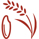 お米作りは作期が明確