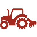 入社・研修開始