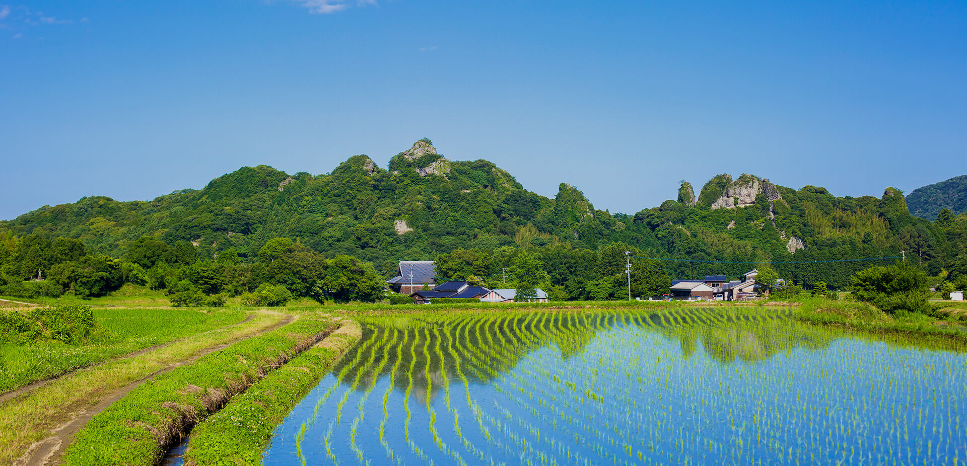 メインビジュアル